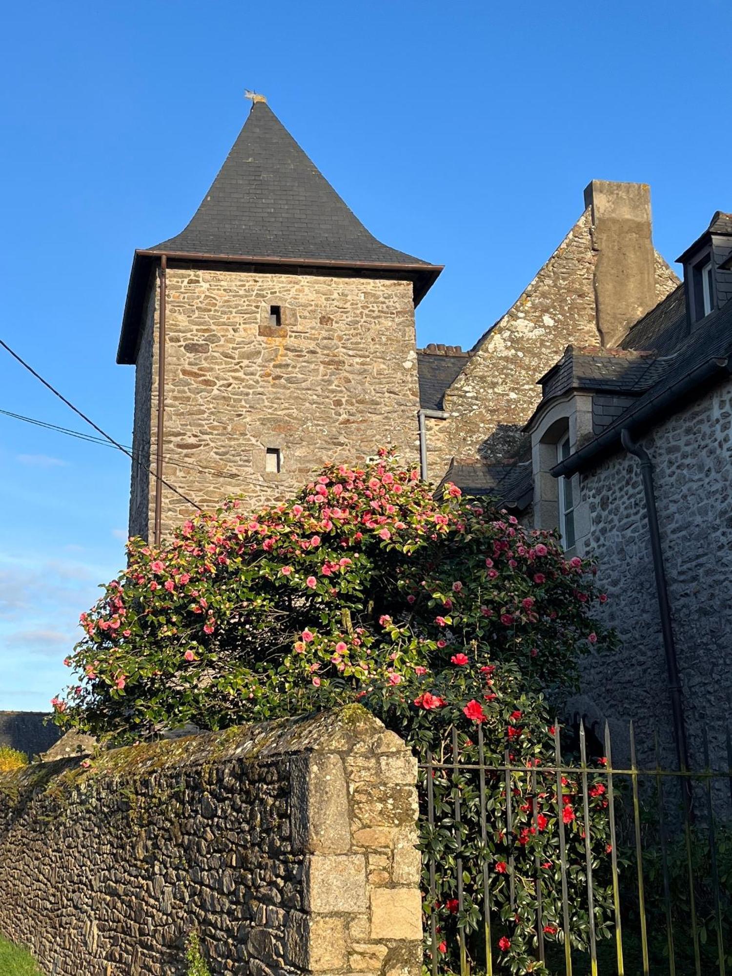Manoir Des Bords De Rance Bed and Breakfast Plouër-sur-Rance Buitenkant foto