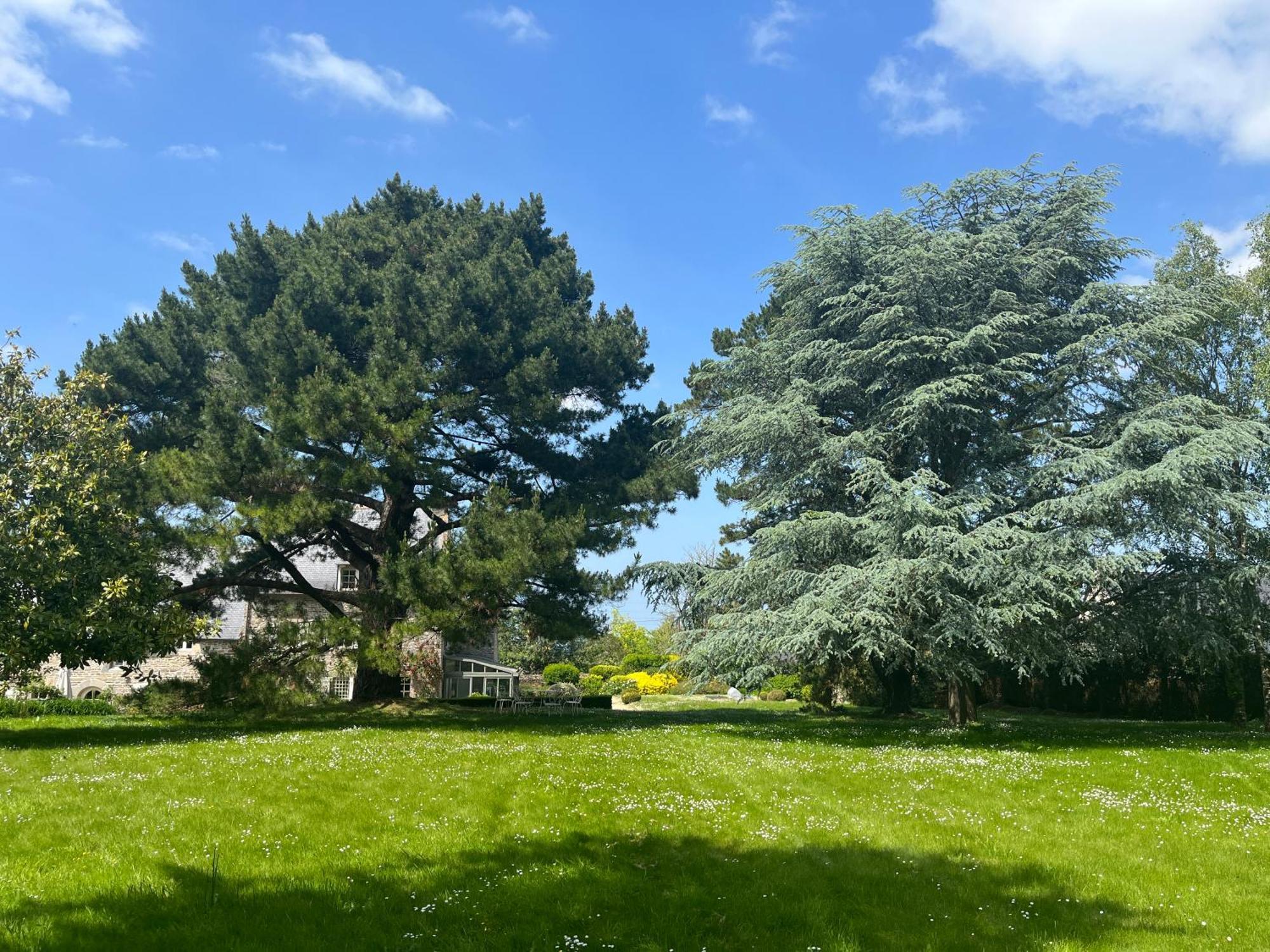 Manoir Des Bords De Rance Bed and Breakfast Plouër-sur-Rance Buitenkant foto
