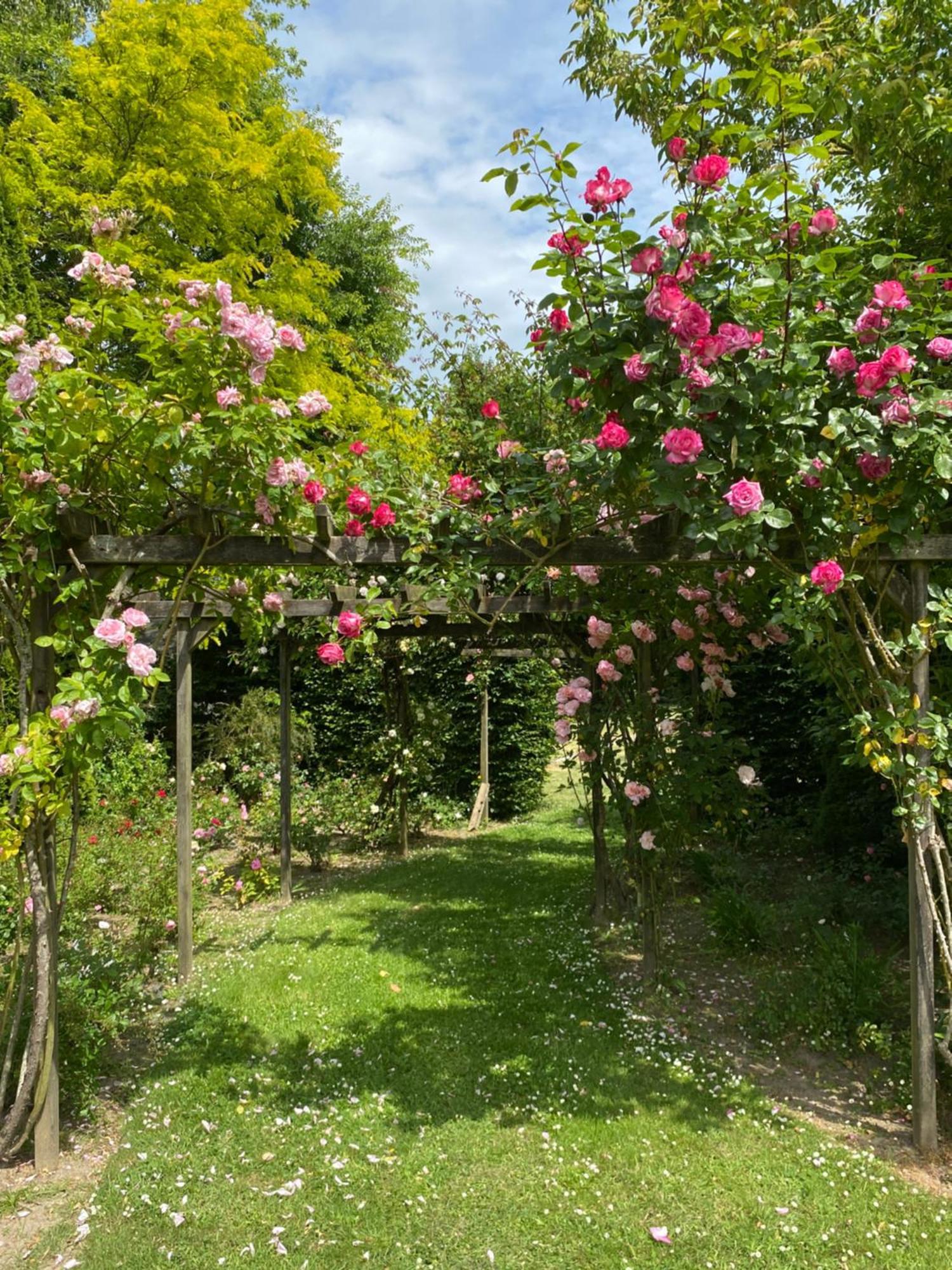 Manoir Des Bords De Rance Bed and Breakfast Plouër-sur-Rance Buitenkant foto