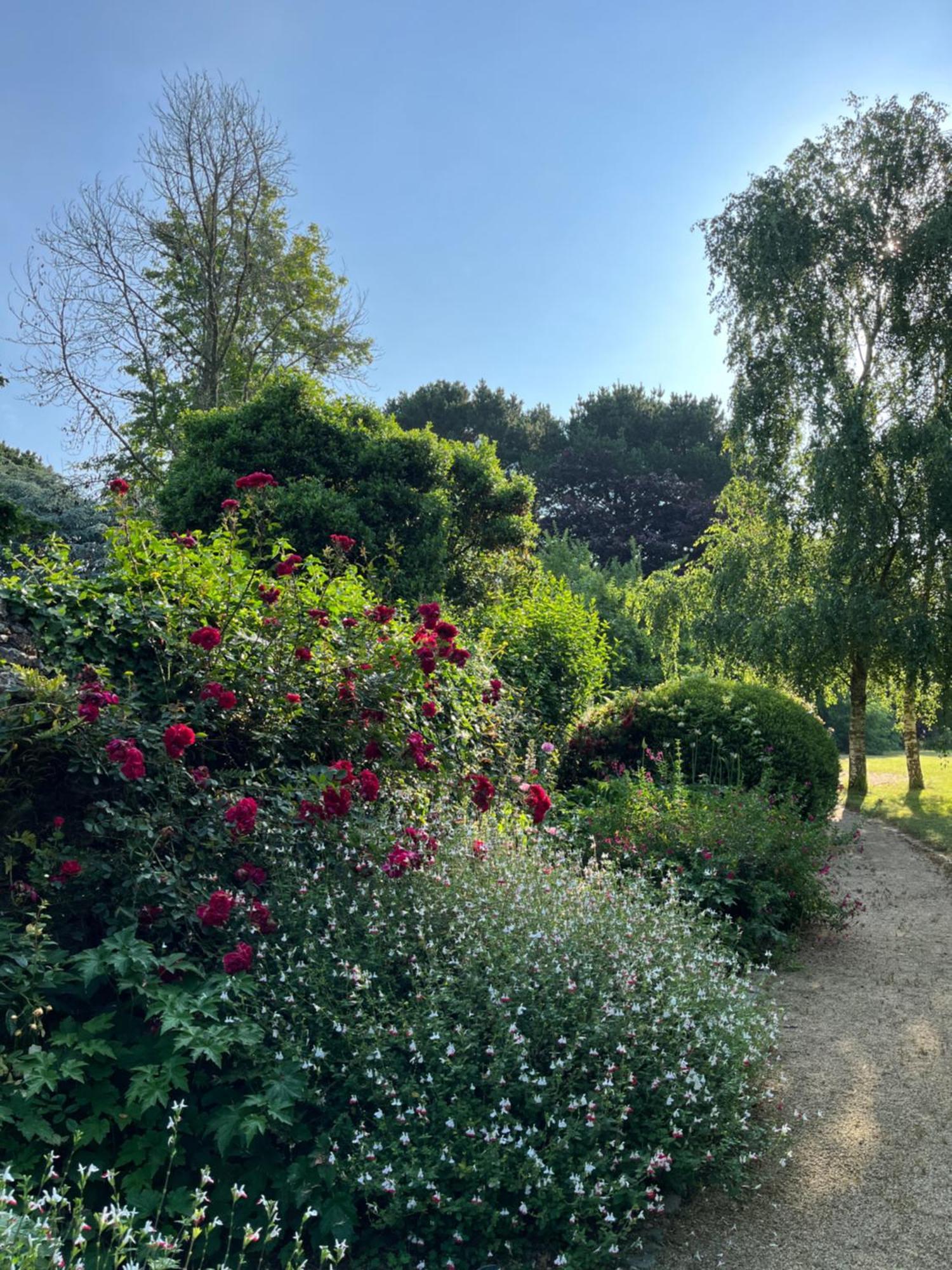 Manoir Des Bords De Rance Bed and Breakfast Plouër-sur-Rance Buitenkant foto